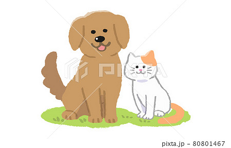 芝生の上でお座りする 犬と猫二匹（手描きカラー） 80801467