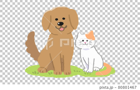 芝生の上でお座りする 犬と猫二匹（手描きカラー） 80801467