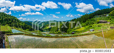 四谷の千枚田 四谷の千枚田 80801683