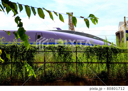 WIN350 新幹線高速試験電車 新幹線 博多南駅 博多総合車両所 WIN350 新幹線高速試験電車 新幹線 博多南駅 博多総合車両所 80801712