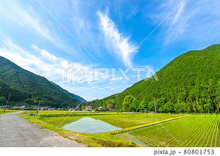 道の駅　杉原紙の里周辺、多可町の田園風景（兵庫県多可郡多可町加美区鳥羽）※作品コメント欄に撮影位置 80801753