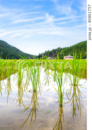 道の駅　杉原紙の里周辺、多可町の田園風景（兵庫県多可郡多可町加美区鳥羽）※作品コメント欄に撮影位置 80801757