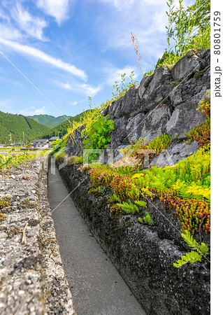 道の駅　杉原紙の里周辺、多可町の田園風景（兵庫県多可郡多可町加美区鳥羽）※作品コメント欄に撮影位置 80801759