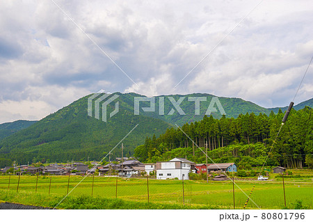 ふるさと兵庫100山「竜ヶ岳」へと続く道(兵庫県多可郡多可町加美区鳥羽)※作品コメント欄に撮影位置 ふるさと兵庫100山「竜ヶ岳」へと続く道(兵庫県多可郡多可町加美区鳥羽)※作品コメント欄に撮影位置 80801796