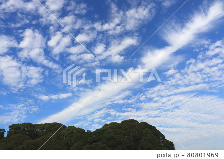 空　青空　夏空　SKY　BLUE SKY 80801969