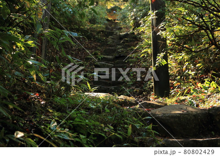 風景・山中の鳥居 80802429