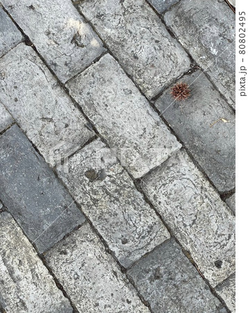石畳とイガ 80802495