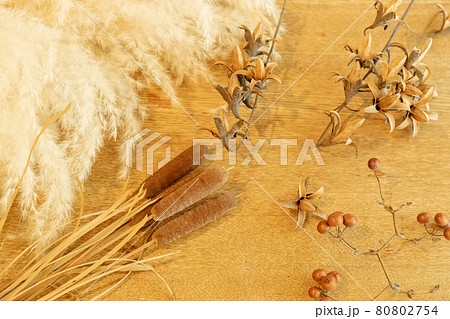 秋の植物のテーブルフォト 80802754