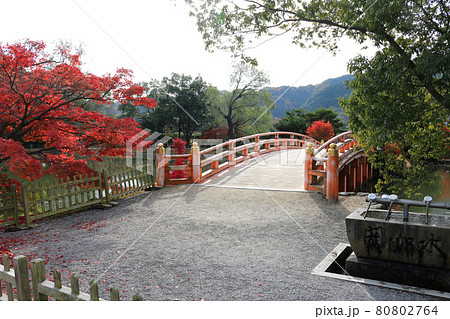 秋の白水阿弥陀堂（福島県・いわき市） 80802764