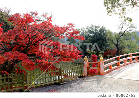 秋の白水阿弥陀堂（福島県・いわき市） 80802765