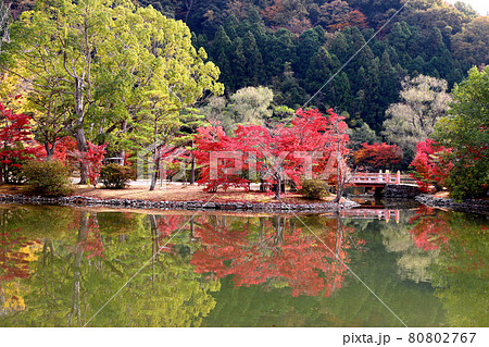 秋の白水阿弥陀堂（福島県・いわき市） 80802767