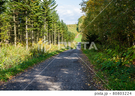 秋の農村の道 秋の農村の道 80803224