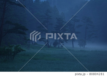 朝霧に霞む黒沢湿原 80804281