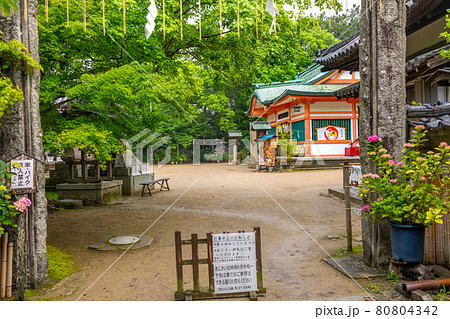 紫陽花(アジサイ)の名所、魚住 住吉神社(兵庫県明石市魚住町社山)※作品コメント欄に撮影位置 紫陽花(アジサイ)の名所、魚住 住吉神社(兵庫県明石市魚住町社山)※作品コメント欄に撮影位置 80804342
