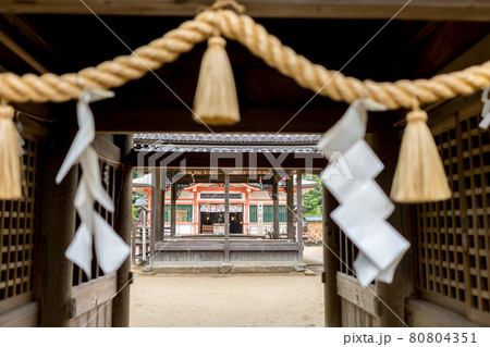 紫陽花(アジサイ)の名所、魚住 住吉神社(兵庫県明石市魚住町社山)※作品コメント欄に撮影位置 紫陽花(アジサイ)の名所、魚住 住吉神社(兵庫県明石市魚住町社山)※作品コメント欄に撮影位置 80804351