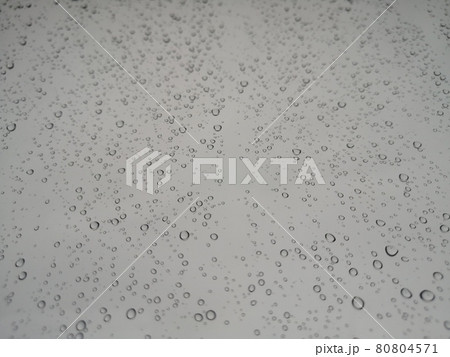 雨 80804571