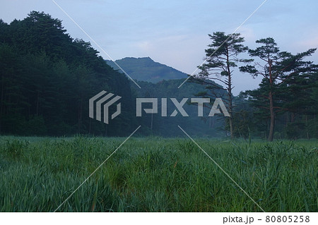 朝の黒沢湿原と国見山 80805258