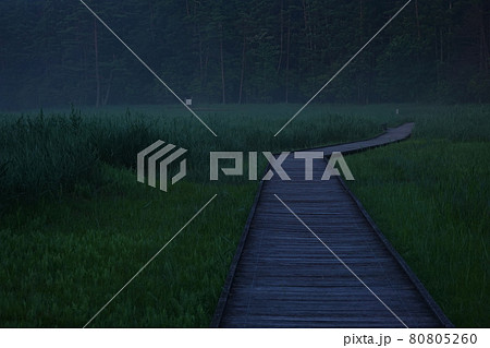 夜明け前の黒沢湿原の木道 夜明け前の黒沢湿原の木道 80805260