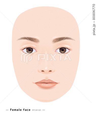 目を開いた 顔 若い 女性 美容 表情 唇 目 鼻 眉 イラスト リアル 正面 モデル 輪郭のイラスト素材