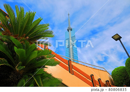 【福岡県】晴天下の福岡タワー（シーサイドももち） 80806835