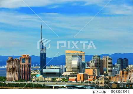 【福岡県】晴天下の福岡タワーと福岡市街 80806842