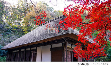 旧荻野家住宅、薬師池公園の古民家と紅葉(東京都町田市) 旧荻野家住宅、薬師池公園の古民家と紅葉(東京都町田市) 80807385