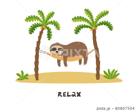 Cartoon sloth is sleeping in hammock under palm trees. Summer time vector illustration. 80807504