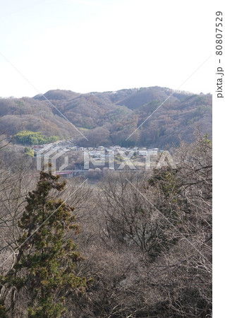 戦国時代に武田信玄の命により山本勘助らによって縄張りがされた、穴城（あなじろ）春の小諸城址・懐古園 80807529