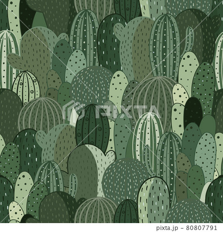 Seamless pattern cactus. Vector texture for textile, wrapping paper, packaging. Seamless pattern cactus. Vector texture for textile, wrapping paper, packaging. 80807791