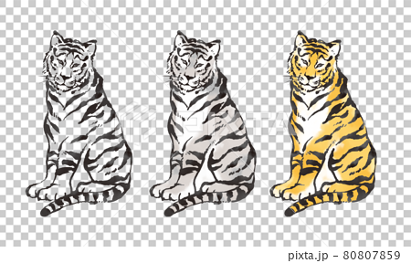 イラスト素材 年賀状 水墨画風のかっこいい虎のイラストレーションのイラスト素材