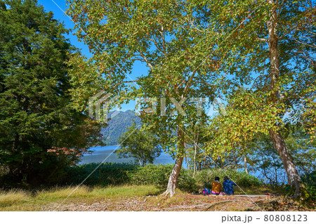 秋の尾瀬 尾瀬沼南岸の山小屋付近の休憩広場 秋の尾瀬 尾瀬沼南岸の山小屋付近の休憩広場 80808123