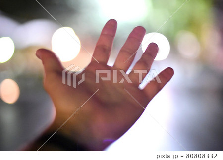 手 80808332