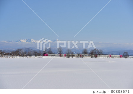 宗谷本線　比布－蘭留　JR北海道　キハ261系5000番台　ST-5201編成（苗穂）　はまなす編成 80808671