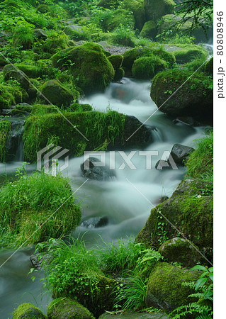 奥大山の美味しい水 奥大山の美味しい水 80808946