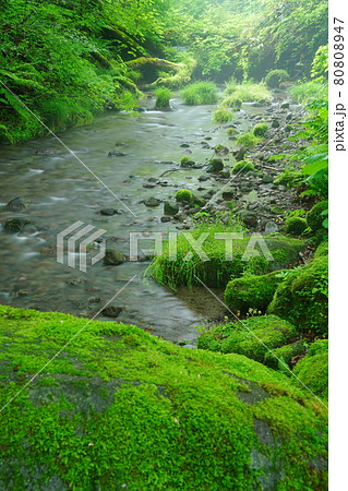 奥大山の美味しい水 奥大山の美味しい水 80808947