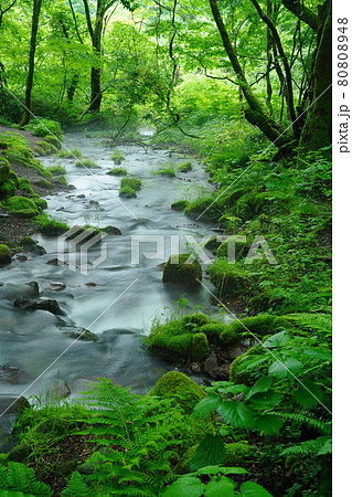 奥大山の美味しい水 奥大山の美味しい水 80808948