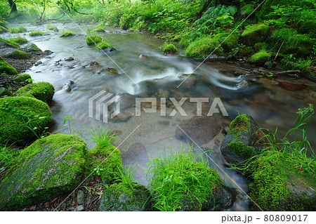 奥大山の美味しい水 奥大山の美味しい水 80809017