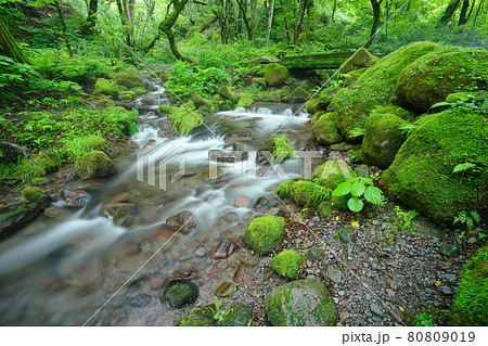 奥大山の美味しい水 奥大山の美味しい水 80809019