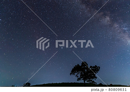 夏の天の川の星景 80809631