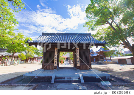 本山寺の五重塔とサルスベリ 本山寺の五重塔とサルスベリ 80809698