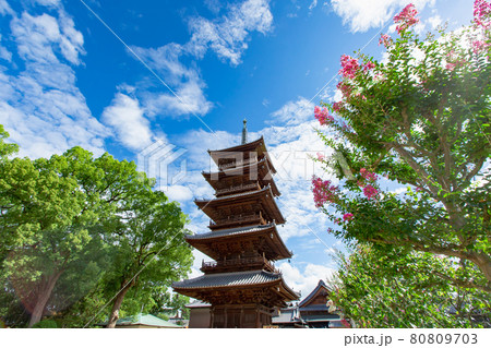 本山寺の五重塔とサルスベリ 本山寺の五重塔とサルスベリ 80809703