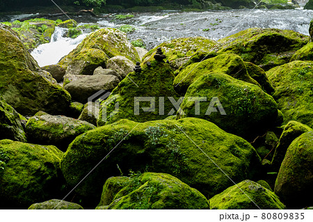 苔が生えた緑の岩と綺麗な川の流れ 涼しい夏のイメージの写真素材 苔が生えた緑の岩と綺麗な川の流れ 涼しい夏のイメージの写真素材