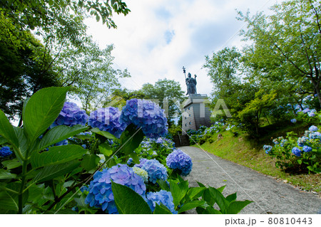 四国霊場第六十六番札所　雲辺寺 80810443
