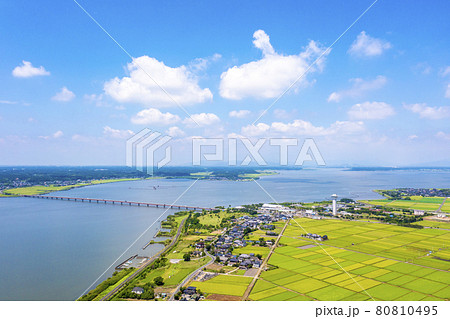 夏の霞ヶ浦と霞ヶ浦大橋（茨城県） 80810495