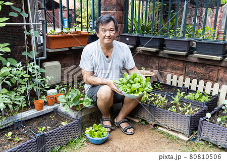 Person showing organic vegetables harvested from home garden. Grown during covid-19 lockdown to pass time 80810506