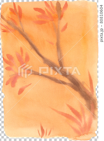 tree branch watercolor 80810604