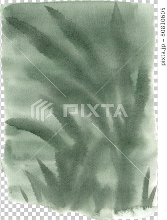 tree branch watercolor tree branch watercolor 80810605