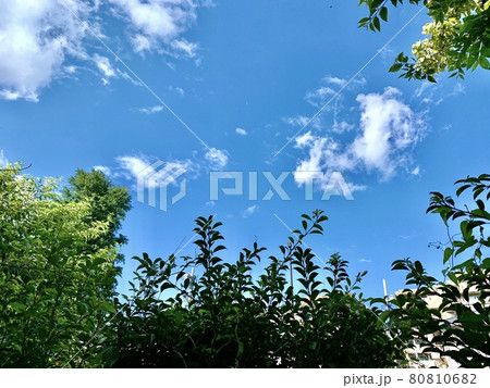 青い空 青い空 80810682