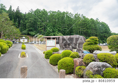 山形村　つつじヶ丘霊園 80810959