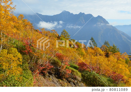 北アルプス焼岳からの穂高 80811089